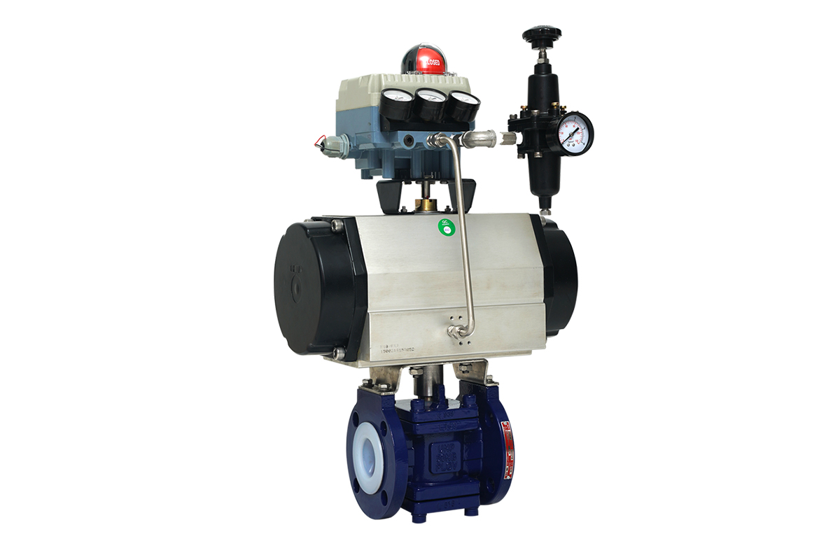 UNP Plug Valve